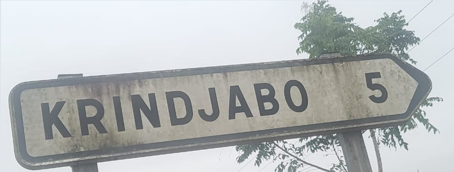 Panneau Krindjabo — TED&IKE DESIGN